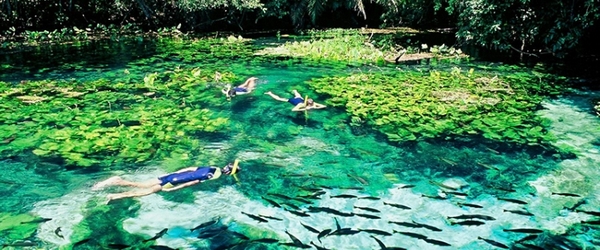 Quem se hospeda no Zagaia Eco Resort, em Bonito (MS), pode desfrutar da beleza da flutuação nos rios locais.