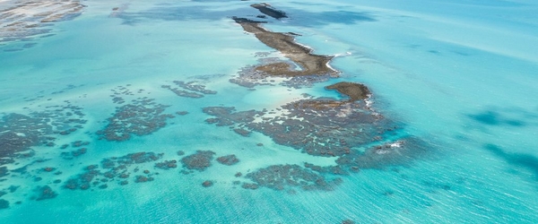 Onde fica Maragogi? Leia o texto e descubra um verdadeiro paraíso na Terra!