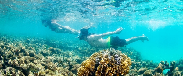 Em meio às águas mornas, transparentes e repletas de corais e cardumes, mergulhos são uma ótima opção de diversão.