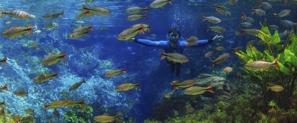 Com algumas aulas rápidas, você poderá fazer flutuação nos rios de Bonito (MS, onde está o Zagaia Eco Resort.