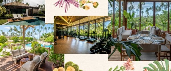 Arquitetura integrada à natureza