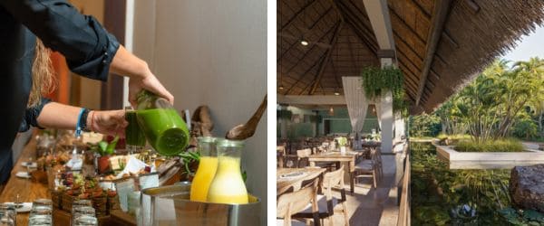 Iberostar Waves Tucán e Quetzal renovados: conheça as novidades na Riviera Maya 7 Gastronomia renovada no Iberostar Waves Tucán e Quetzal